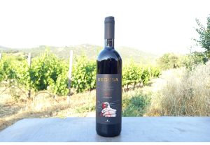 Orgosa Cannonau DOC 2019