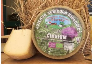 cirsium-pecorino-bio-caglio-vegetale-1/2 forma