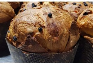 panettone-classico